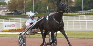 Pronostic quinté gratuit Prix de Hay-les-Roses 2026