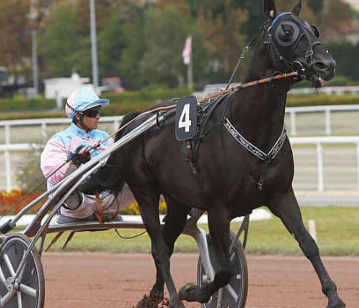 Pronostic quinté gratuit Prix de Hay-les-Roses 2026