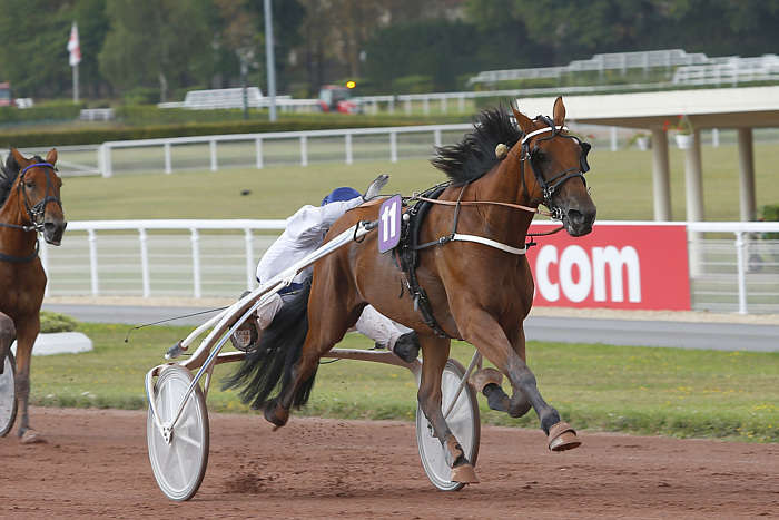 Pronostic quinté gratuit Sables Olonne Agglomeration 2026