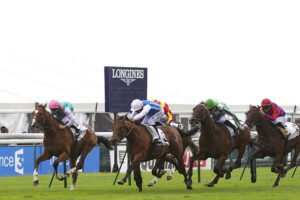 Pronostic quinté gratuit Prix de Balleroy 2026