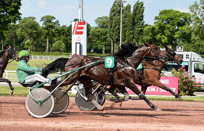 Pronostic quinté gratuit Prix de la Porte Montmartre 2026