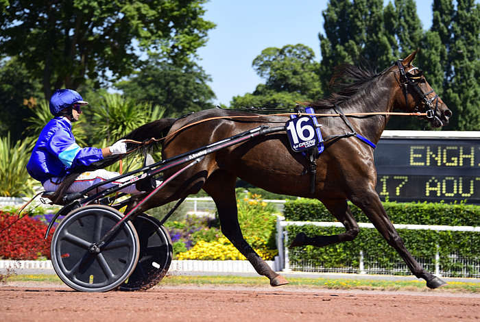 Pronostic quinté gratuit Prix de Pigalle 2026