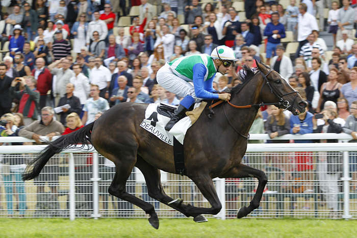 Pronostic quinté gratuit Prix de Bayeux 2026
