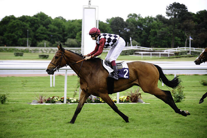 Pronostic quinté gratuit Prix de la Cote de Nacre 2026