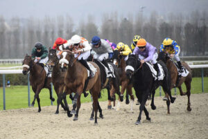 Pronostic quinté gratuit Sumbe Prix des Chenettes 2026