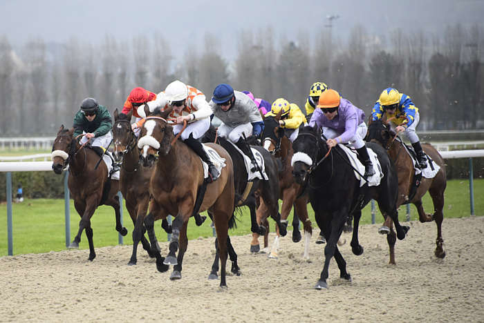 Pronostic quinté gratuit Sumbe Prix des Chenettes 2026