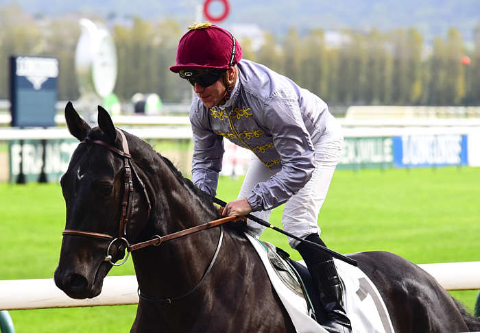 Pronostic quinté gratuit Prix Francois Andre 2026