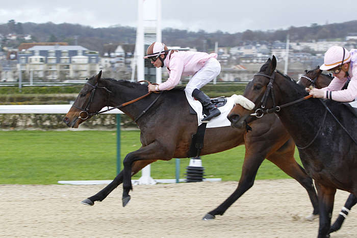 Pronostic quinté gratuit Prix du Havre 2026