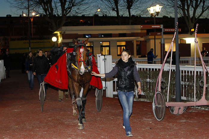 Pronostic quinté gratuit Prix d'Argentan 2026