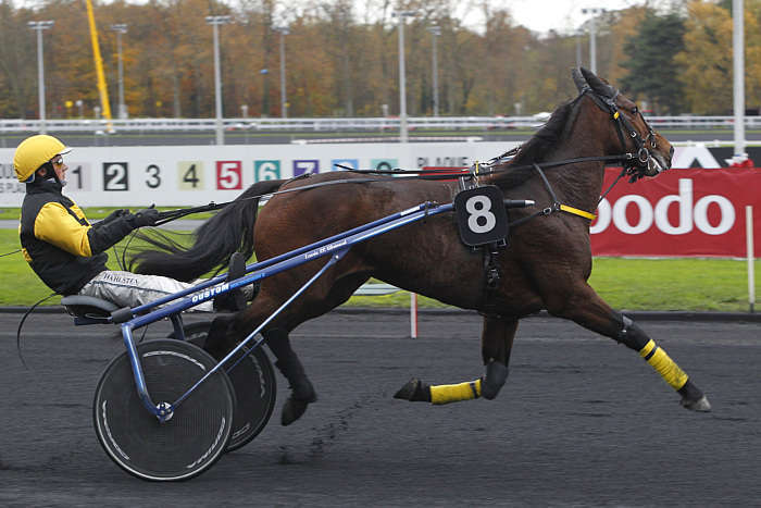 Pronostic quinté gratuit Prix de Mortain 2026