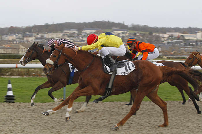Pronostic quinté gratuit Handicap de la Manche 2026