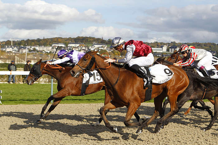 Pronostic quinté gratuit Prix de la Villa Lucie 2026