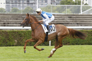 Pronostic quinté gratuit Prix Saint-Pair-du-Mont 2026
