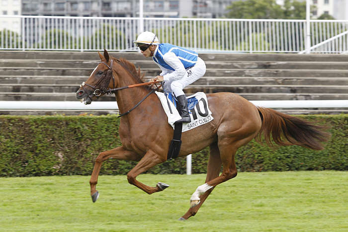Pronostic quinté gratuit Prix Saint-Pair-du-Mont 2026