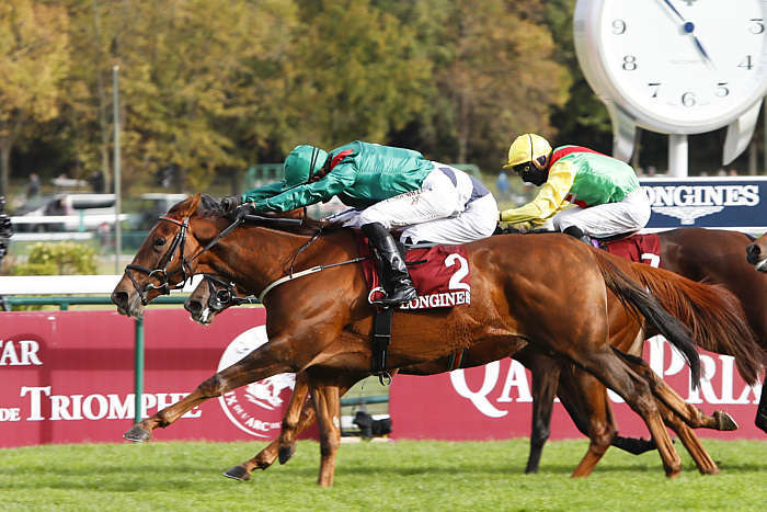 Pronostic quinté gratuit Prix de Longchamp 2026