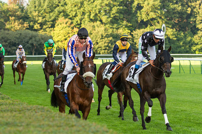 Pronostic quinté gratuit Qatar Prix Reine Marguerite 2026