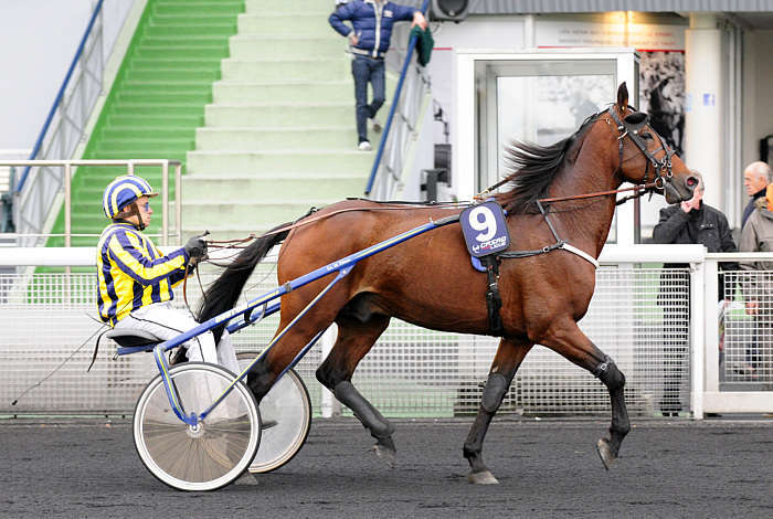 Pronostic quinté gratuit Prix Hera 2026