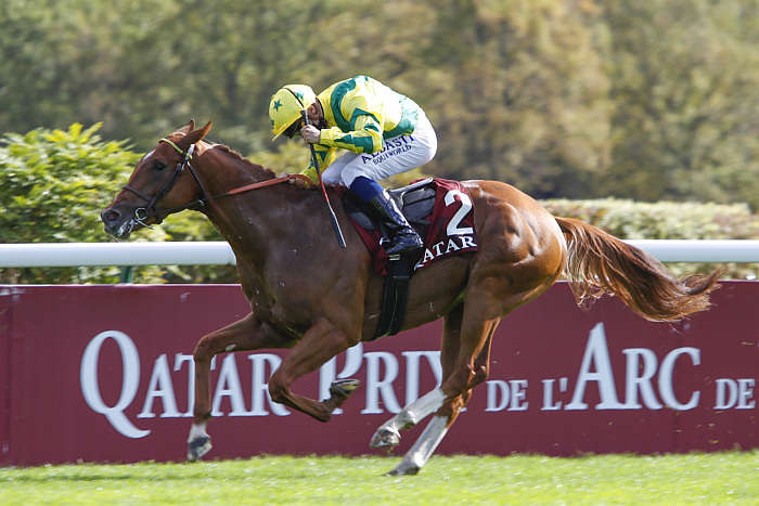 Pronostic quinté gratuit Qatar Arc de Triomphe 2026